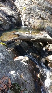 Waterfall and Pool