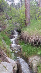 Mountain Stream